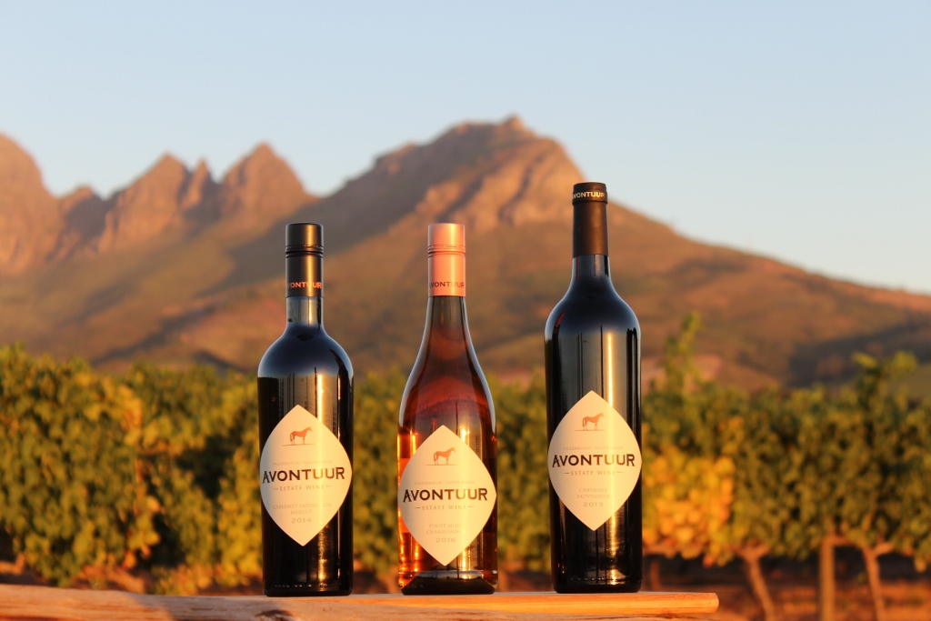 Avontuur Wine Estate: Tasting &amp; bottle of Cabernet/Merlot