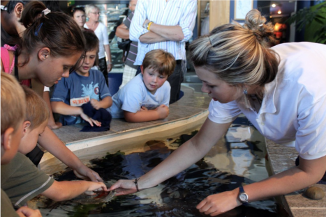 Two Oceans Aquarium