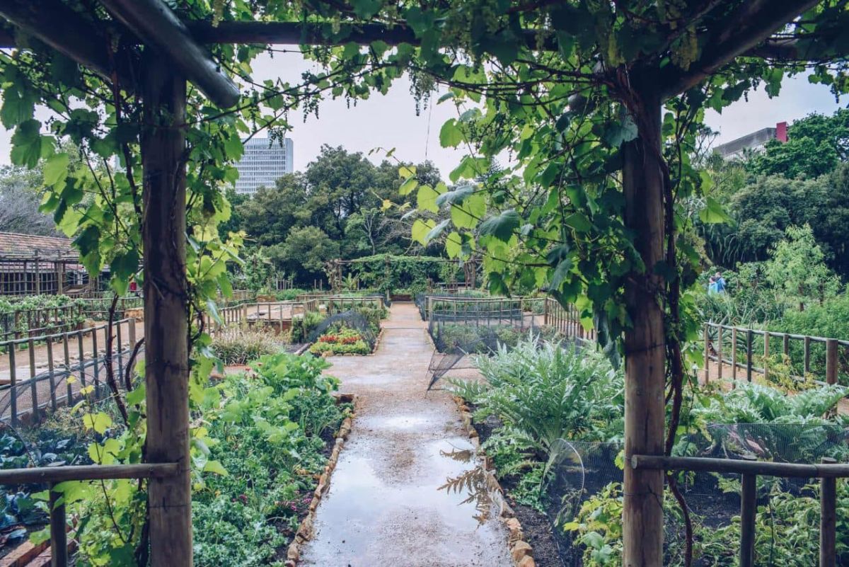 beautiful gardens in cape town