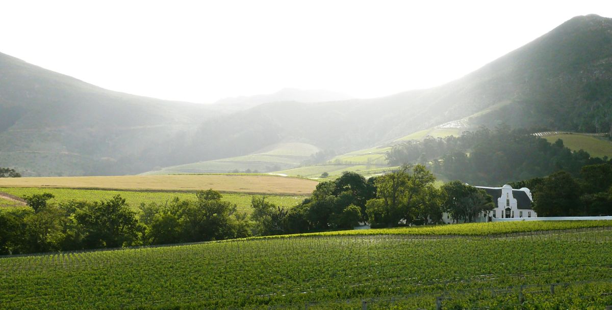 Vredenheim Wine Estate: Wine tasting