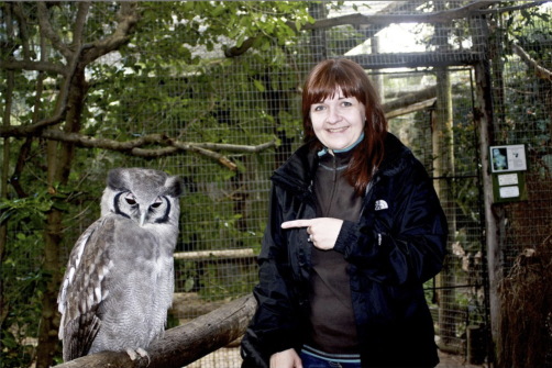 World of Birds