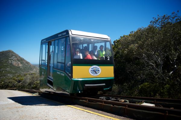 Cape Point &amp; Penguin Tour
