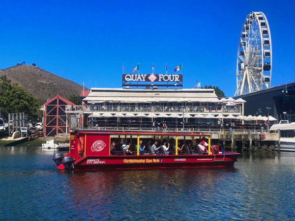 Harbour &amp; seal cruise