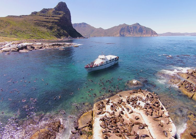 Recommendation: Drumbeat Charters – Seal Island cruise (accessible from stop 24)