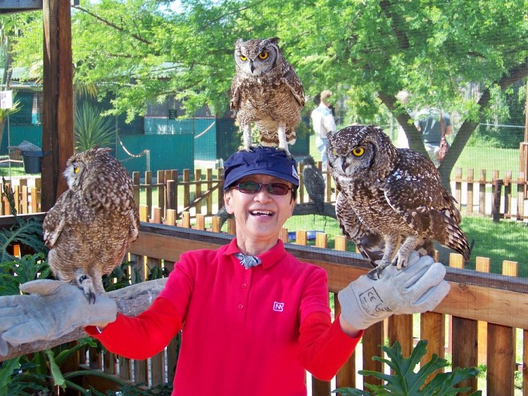 Recommendation: World of Birds Wildlife Sanctuary and Monkey Park (stop 22)