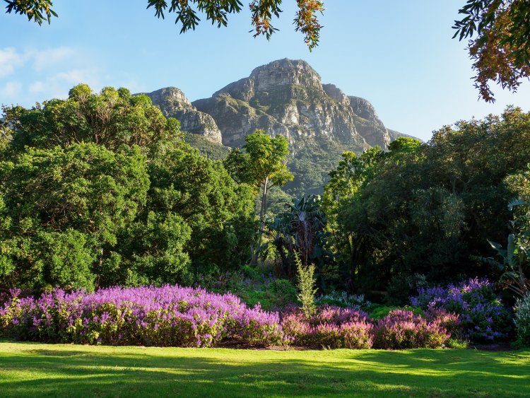 Recommendation: Kirstenbosch National Botanical Garden (stop 20)