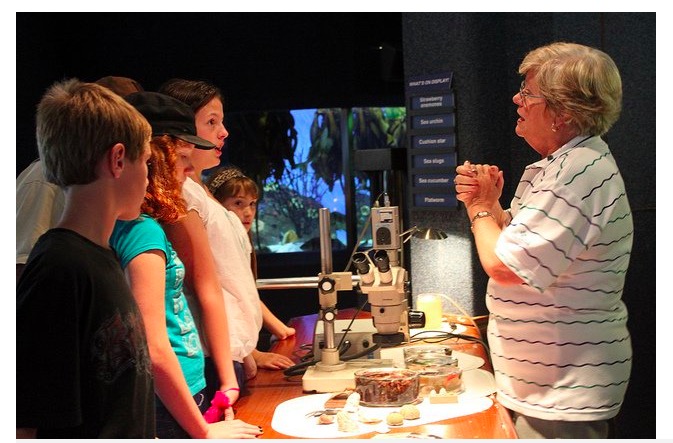 Recommendation: Discoveries are frequently made at the aquarium