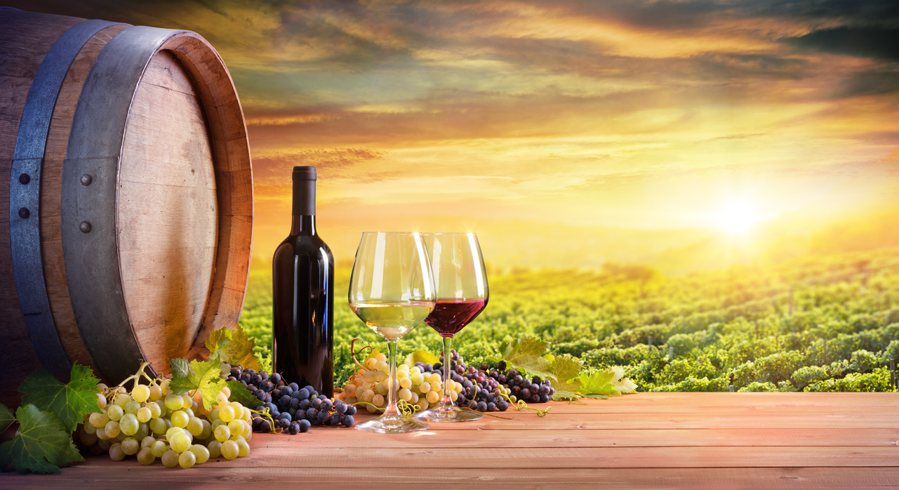Wine tour &amp; tasting