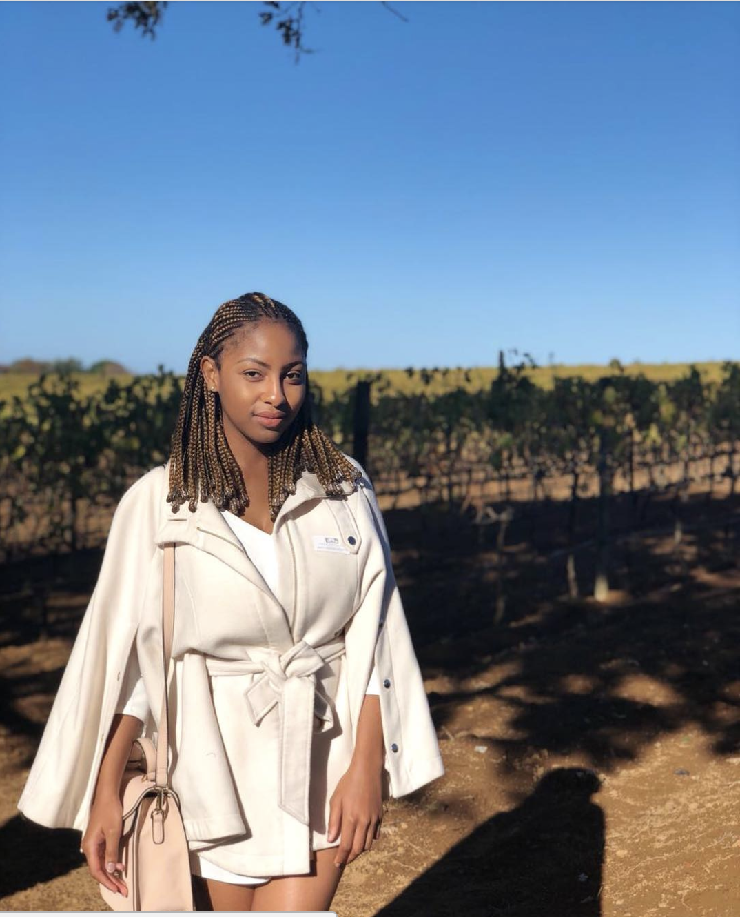 Recommendation: 4. Finish off the day with a glass of wine at Groot Constantia