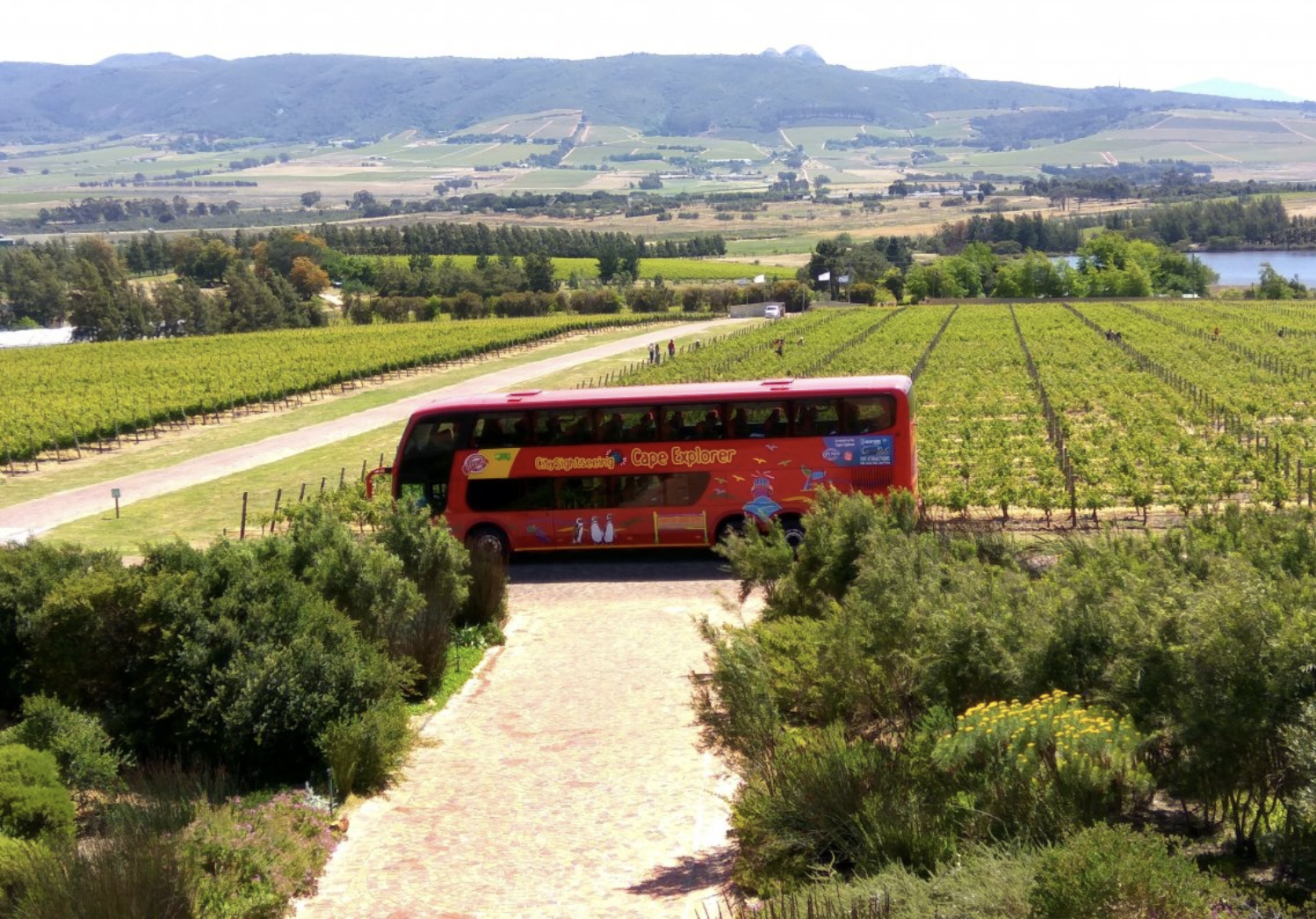 Recommendation: What to know about the live-guided Cape Winelands tour to Franschhoek and Stellenbosch