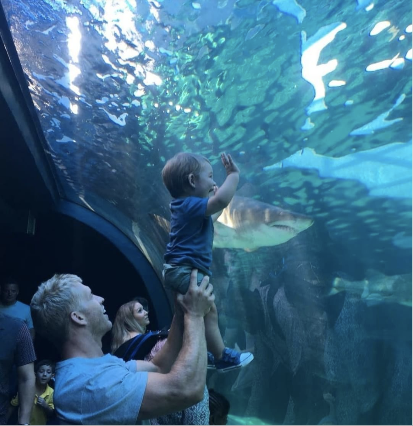 Recommendation: (<a href="https://www.citysightseeing.co.za/en/cape-town/v-a-waterfront">Two Oceans Aquarium</a> (stop 1)
