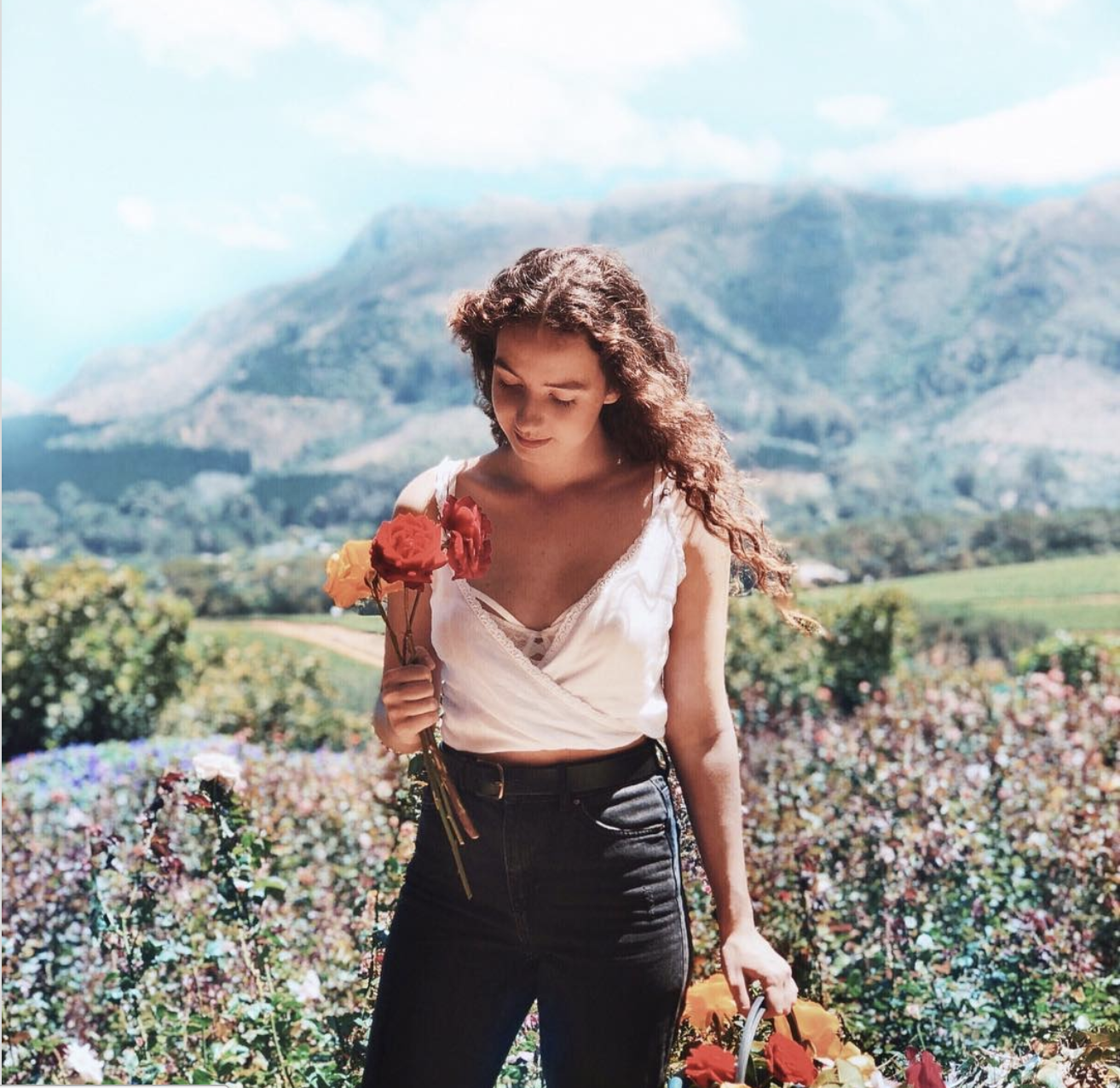 Recommendation: Go rose picking
