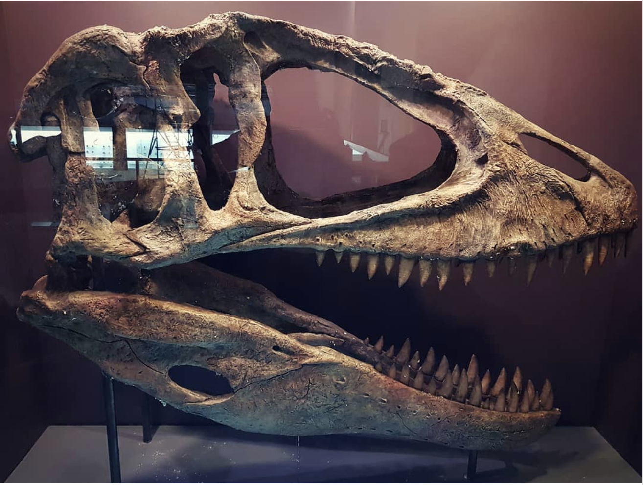 Recommendation: Wander through a museum