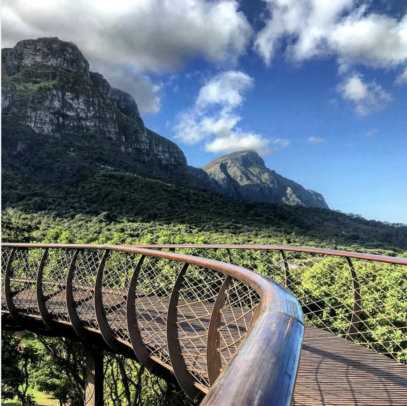 Recommendation: Free entry at Kirstenbosch National Botanical Garden: Tuesdays