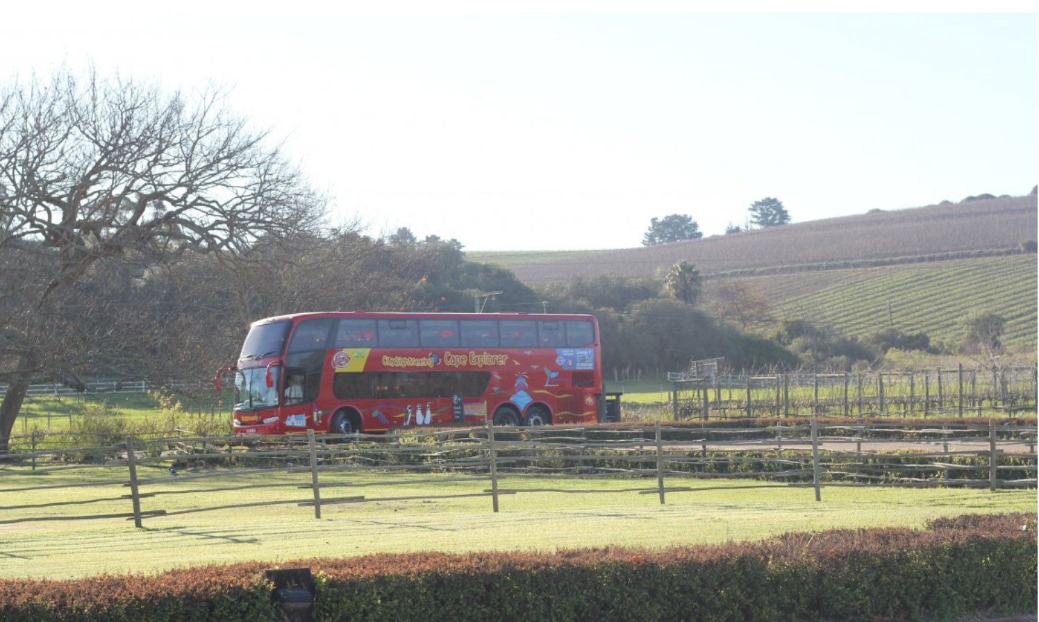 Recommendation: What to see on the Franschhoek &amp;amp; Stellenbosch Winelands Tour: