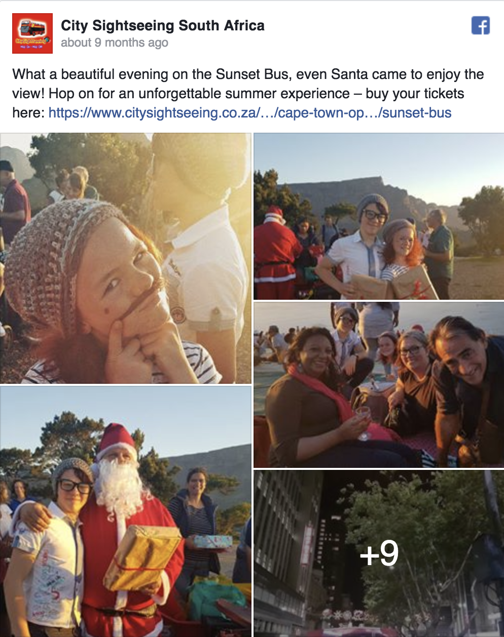 Recommendation: Hug Some Trees at Kirstenbosch National Botanical Gardens