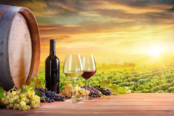 Recommendation: Cape Winelands