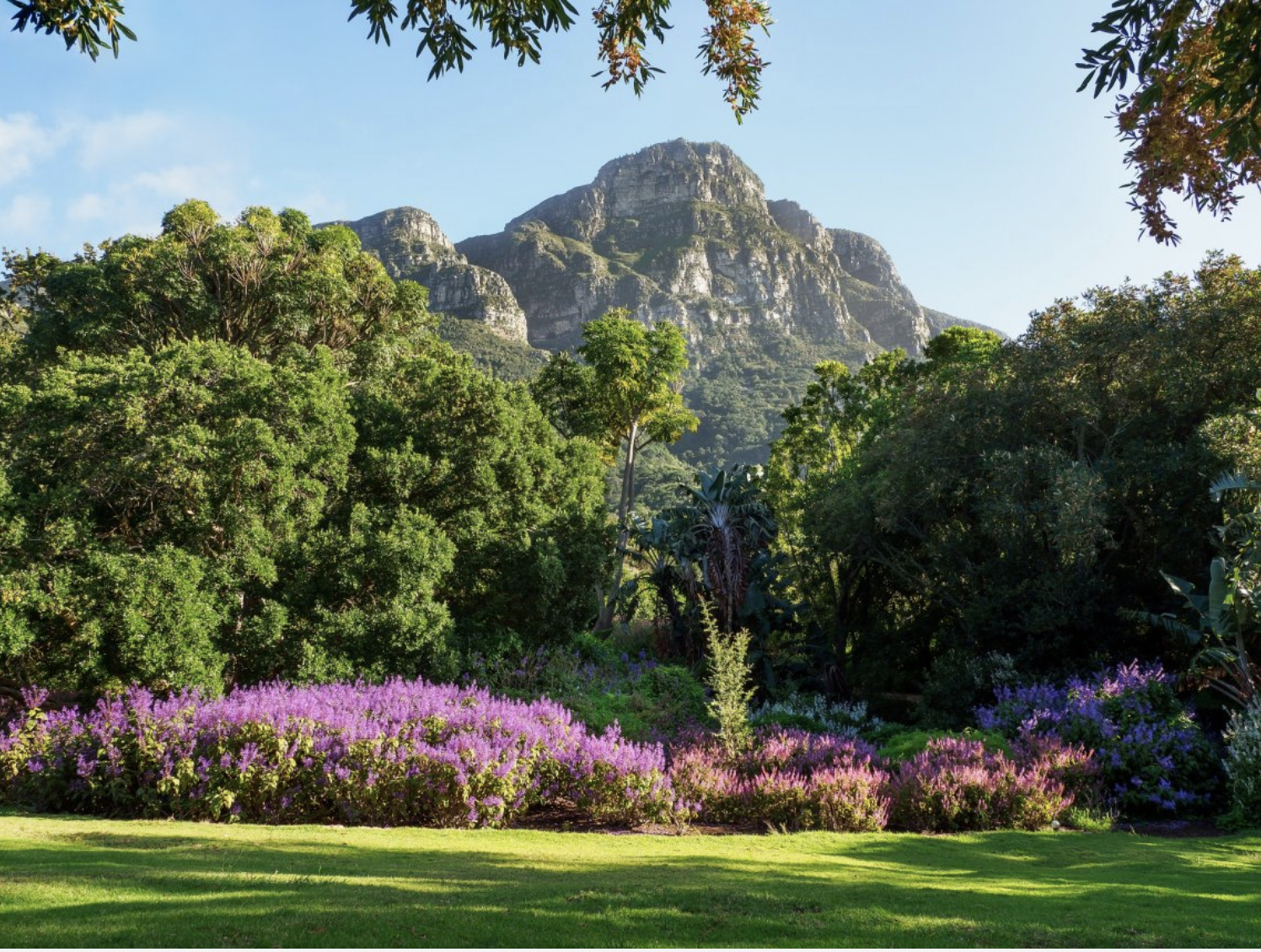 Recommendation: Have a glorious garden party