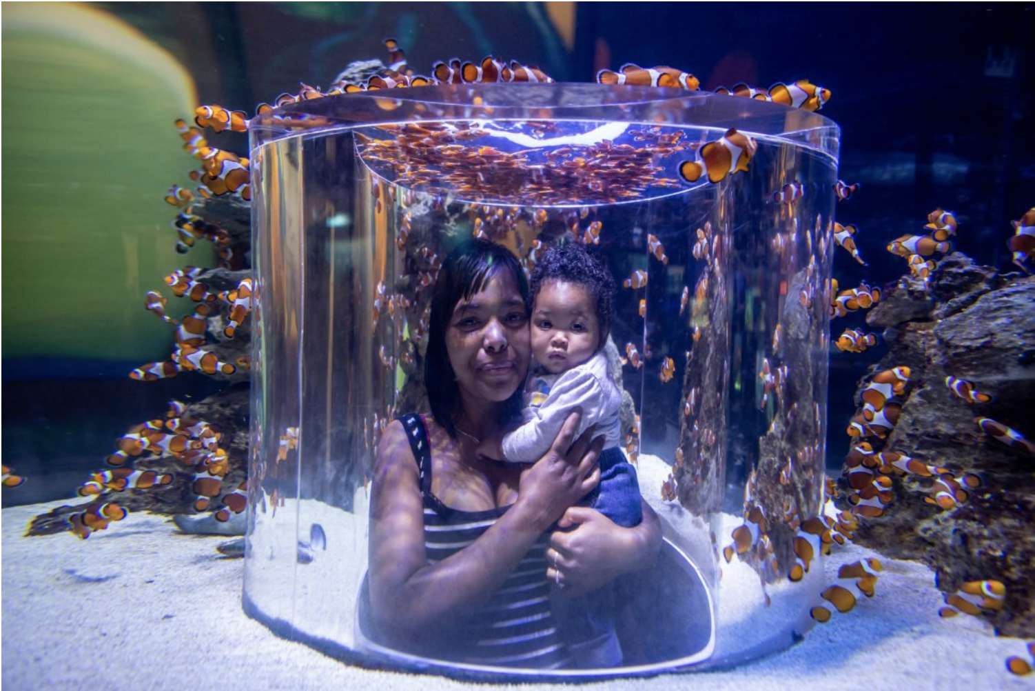 Recommendation: Get lost in a magical underwater world at the Two Oceans Aquarium