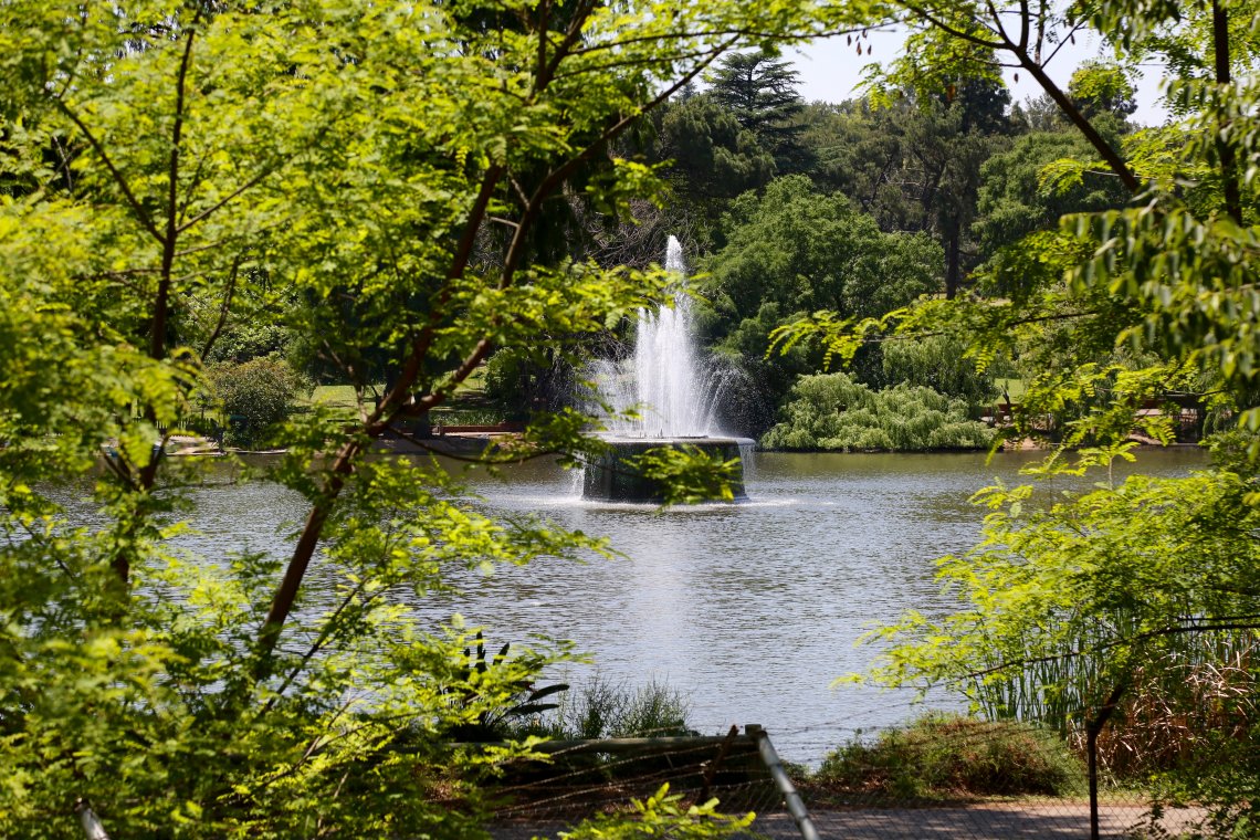 Romance at Zoo Lake