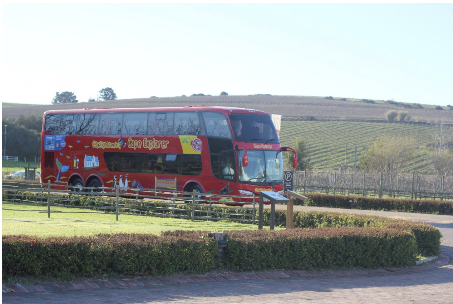 Cape Town’s top wine farms