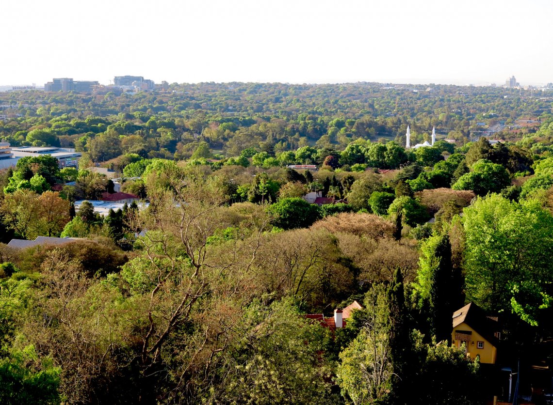 Sunday Funday: Kirstenbosch Summer Concerts & Red Bus Combo