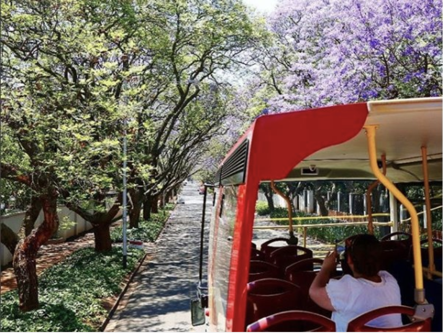 Ripley's In Cape Town – Believe It Or Not!