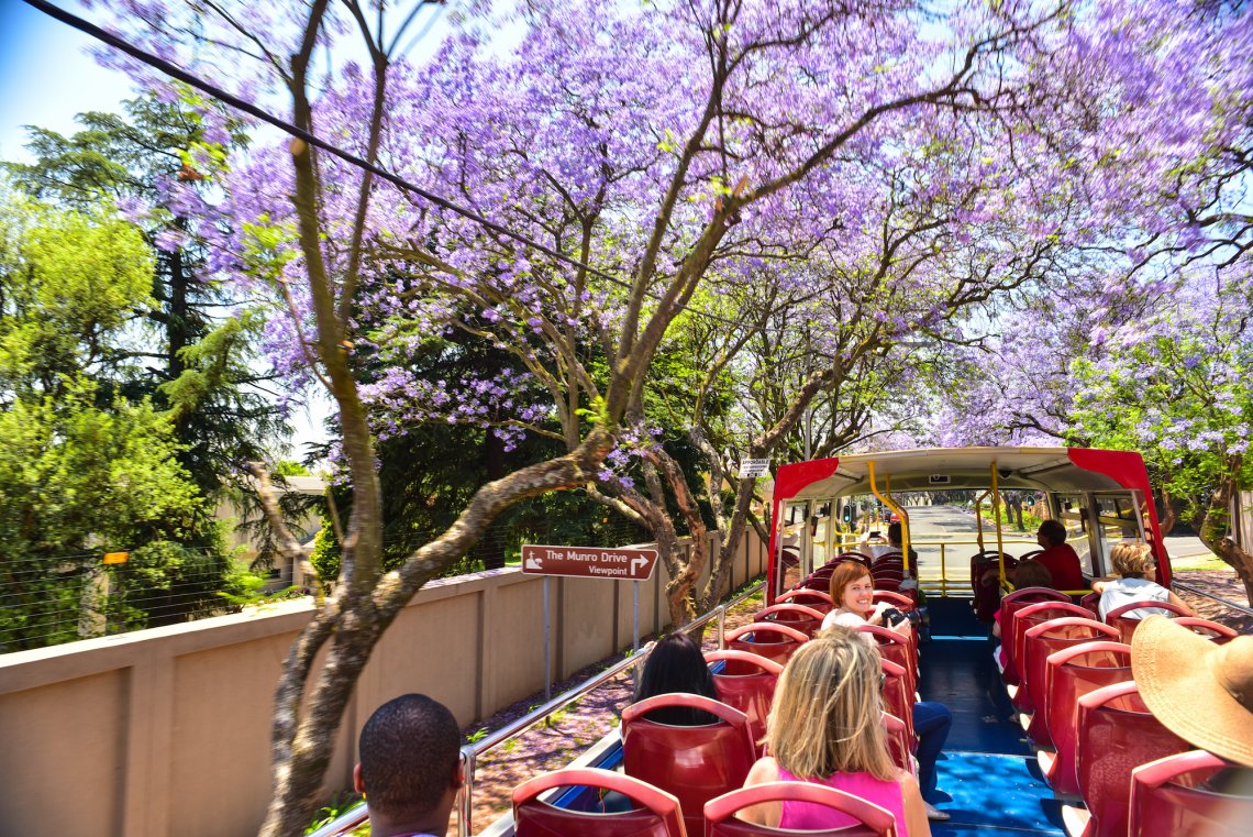 Cityrun to Affect Joburg Red City Tour Route on Heritage Day