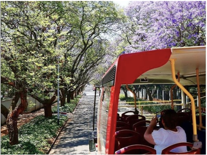 Hop on our red bus 365 days a year