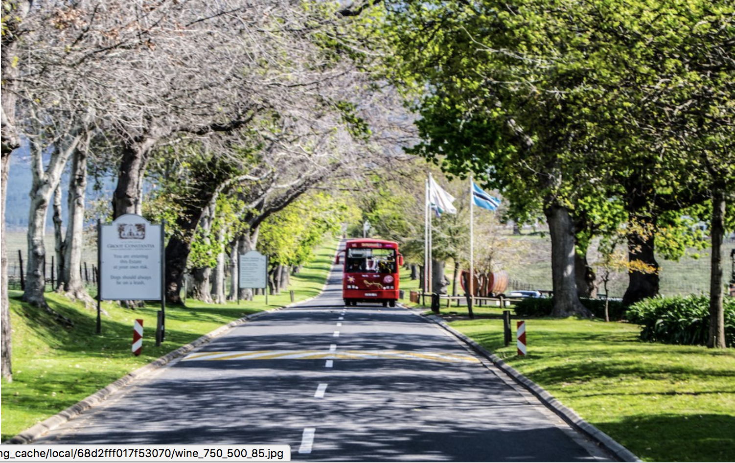 City Sightseeing South Africa: The Tourist Attraction