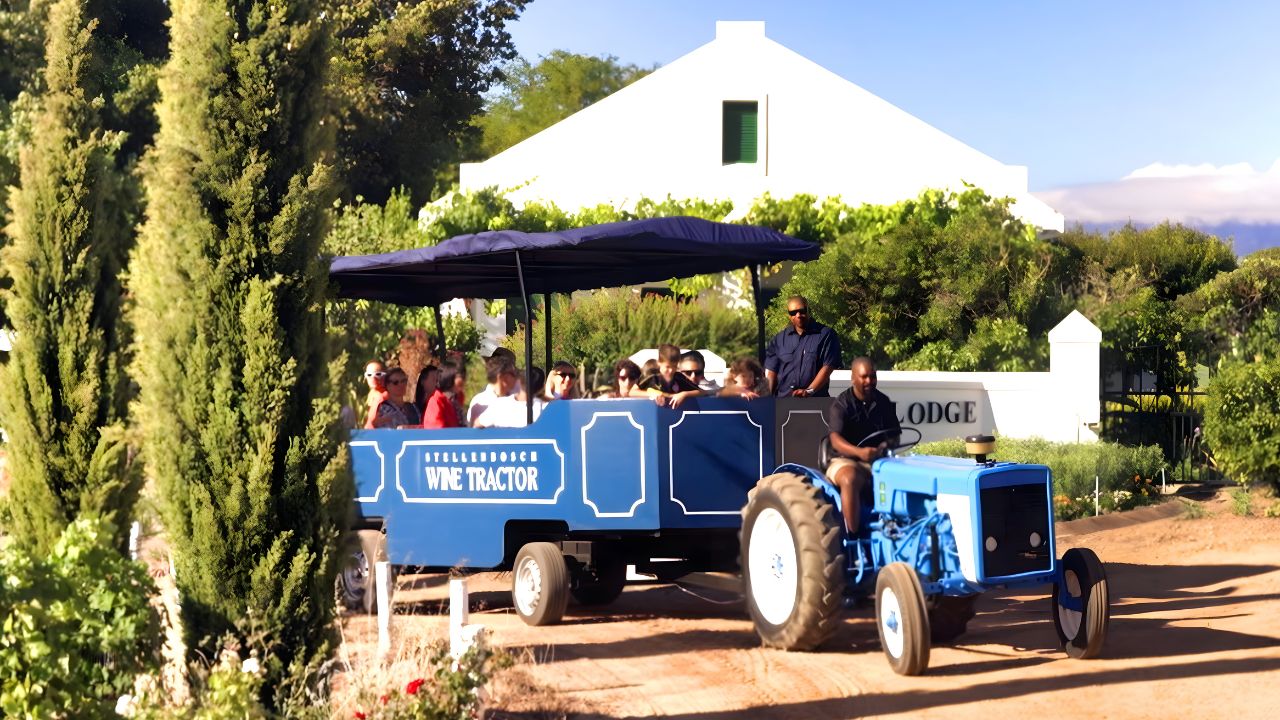 Stellenbosch wine tractor